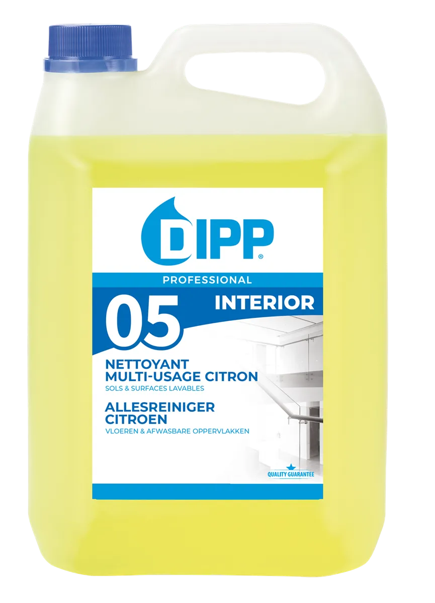 DIPP No. 05 Alles Reiniger Citroen Can 5L